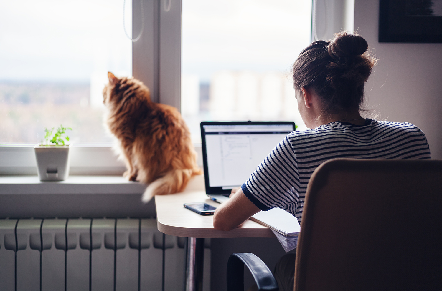 Woman working on a laptop with a cat in the window