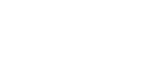 PACE logo